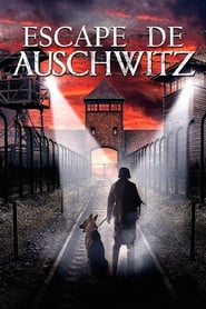 Imagen Escape de Auschwitz [2020]