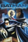 Imagen Batman: El Misterio de Batimujer (2003)