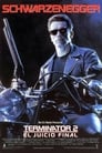 Imagen Terminator 2: Juicio Final [1991]