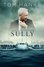 Imagen Sully: Hazaña en el Hudson [2016]