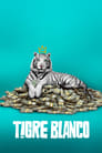 Imagen Tigre Blanco [2021]