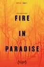 Imagen Paradise en llamas [2019]