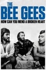 Imagen The Bee Gees: How Can You Mend a Broken Heart (2020)